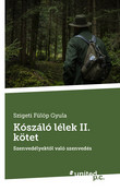 Cover: Kószáló lélek II. kötet